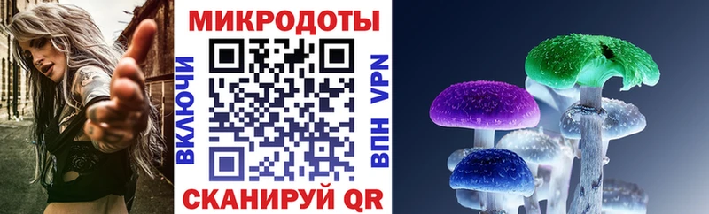 закладка  Нелидово  Галлюциногенные грибы GOLDEN TEACHER 